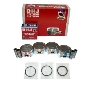Piston & Ring Set